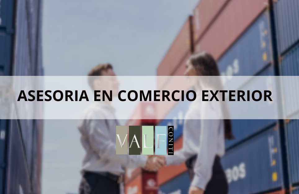 Asesoría en Comercio Exterior
